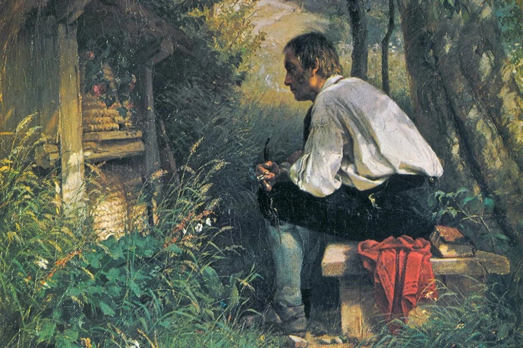 Anarhia dirijată sau reflecţii lângă&nbsp;urdiniş